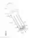 Fig. 02 - Terminal fitting with resilient pieces having thin plating region and thick plating region