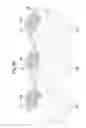 Fig. 41 - Wire harness and connector