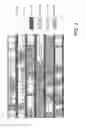 Fig. 03 - Physically unclonable camouflage structure and methods for fabricating same