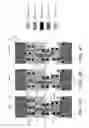 Fig. 05 - Physically unclonable camouflage structure and methods for fabricating same