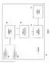 Fig. 09 - Hierarchical data compression and computation
