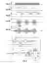 Fig. 03 - Method and device for transmitting data by inductive coupling with controlled self-oscillation