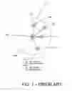 Fig. 02 - Mechanism for automatic network formation and medium access coordination