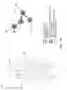 Fig. 17 - Mechanism for automatic network formation and medium access coordination