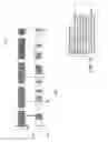 Fig. 27 - Mechanism for automatic network formation and medium access coordination