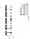 Fig. 30 - Mechanism for automatic network formation and medium access coordination
