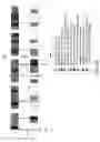 Fig. 53 - Mechanism for automatic network formation and medium access coordination