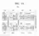 Fig. 04 - Transmitting apparatus and receiving apparatus and signal processing method thereof