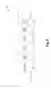Fig. 09 - Protocol independent programmable switch (PIPS) software defined data center networks