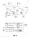 Fig. 04 - Distributed bidirectional forwarding detection protocol (D-BFD) for cluster of interconnected switches