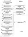 Fig. 05 - REAL IDENTITY AUTHENTICATION
