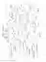 Fig. 06 - REAL IDENTITY AUTHENTICATION