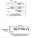 Fig. 03 - Server-side prediction of media client steady state