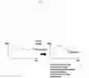 Fig. 07 - Method and apparatus for processing sensor information