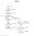 Fig. 24 - Method and device for transmitting/receiving broadcast signal