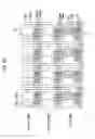 Fig. 25 - Image processing device, imaging device, image processing method, and image processing program generating a split image