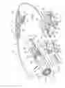 Fig. 02 - Reduced area imaging device incorporated within endoscopic devices