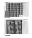 Fig. 19 - Image sequence enhancement and motion picture project management system and method