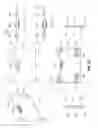 Fig. 24 - Wireless speaker and system