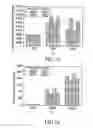 Fig. 13 - Apparatus and method for selecting peer discovery resource in device-to-device communication system