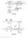 Fig. 24 - Telecommunication networks