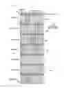 Fig. 17 - Mobile communication system