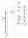 Fig. 19 - USER EQUIPMENT, BASE STATION, INFORMATION NOTIFICATION METHOD, AND RESOURCE ALLOCATION METHOD
