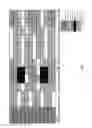 Fig. 08 - LTE ENHANCEMENTS FOR SMALL PACKET TRANSMISSIONS