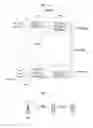 Fig. 05 - Signal transmission method in device-to-device communication and apparatus therefor