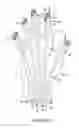 Fig. 03 - Heated glove and method of controlling the heating of glove