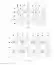 Fig. 02 - Pixel arrangement structure for organic light-emitting diode display panel