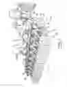 Fig. 02 - Soil working apparatus