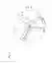 Fig. 07 - Walk-behind mower including debris container