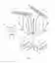 Fig. 04 - METHODS AND SYSTEMS FOR HIGH VOLTAGE TREATMENT OF SOIL AND PLANT