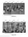 Fig. 07 - METHODS AND SYSTEMS FOR HIGH VOLTAGE TREATMENT OF SOIL AND PLANT