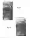 Fig. 08 - METHODS AND SYSTEMS FOR HIGH VOLTAGE TREATMENT OF SOIL AND PLANT