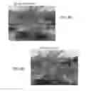 Fig. 09 - METHODS AND SYSTEMS FOR HIGH VOLTAGE TREATMENT OF SOIL AND PLANT