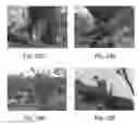 Fig. 11 - METHODS AND SYSTEMS FOR HIGH VOLTAGE TREATMENT OF SOIL AND PLANT