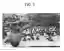 Fig. 04 - Hydroponic method utilizing beneficial micro-organisms