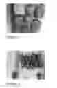 Fig. 03 - Pepper plant