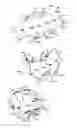 Fig. 02 - Disposable Animal Litter Container