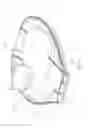 Fig. 08 - PET BEDDING