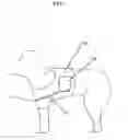 Fig. 04 - Animal training apparatus and method