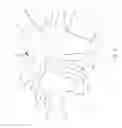 Fig. 08 - Dog Droppings Catcher