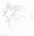 Fig. 16 - Dog Droppings Catcher