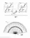 Fig. 02 - Turkey fan decoy