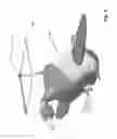 Fig. 06 - FLYING DUCK DECOY