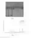 Fig. 03 - Extract of Scheff, repellent compositions and use thereof