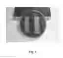 Fig. 02 - Surfaces which stay microbiologically clean