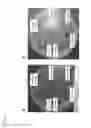 Fig. 04 - Volatile disinfectant